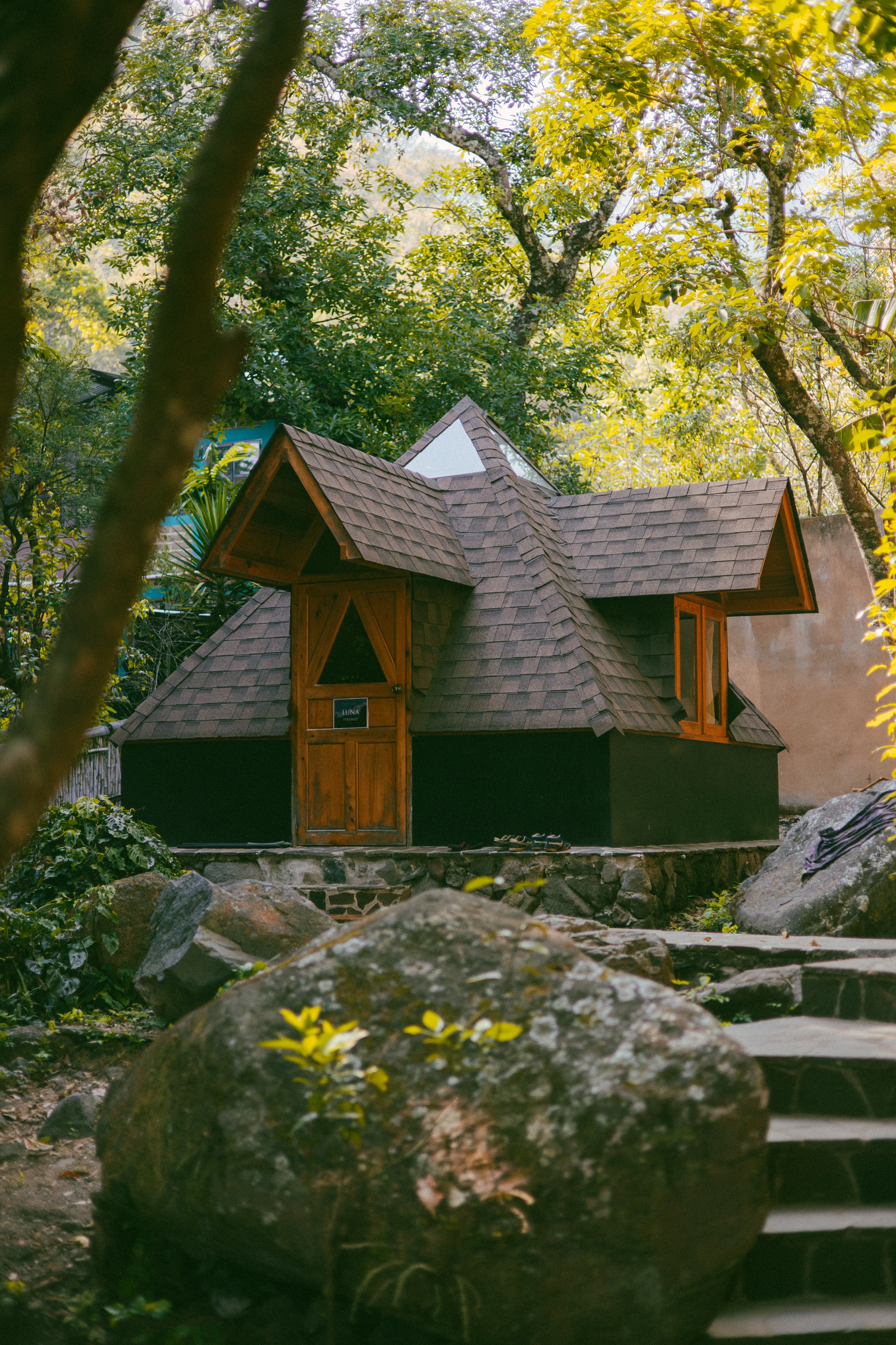 Multi-story building nestled in jungle canopy