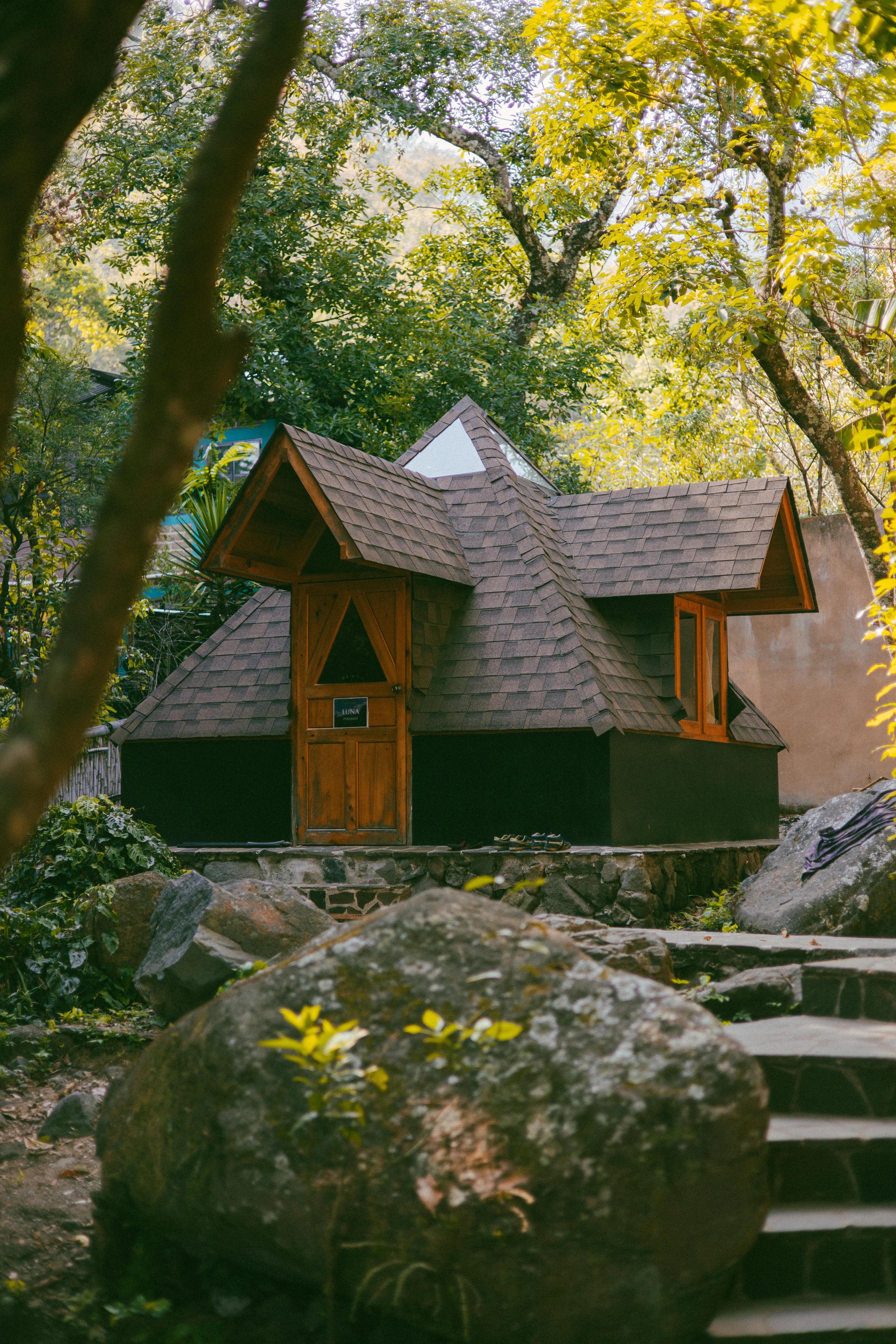 Multi-story building nestled in jungle canopy