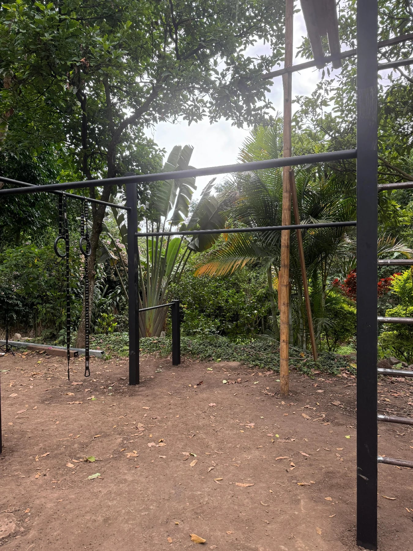 Outdoor Gym