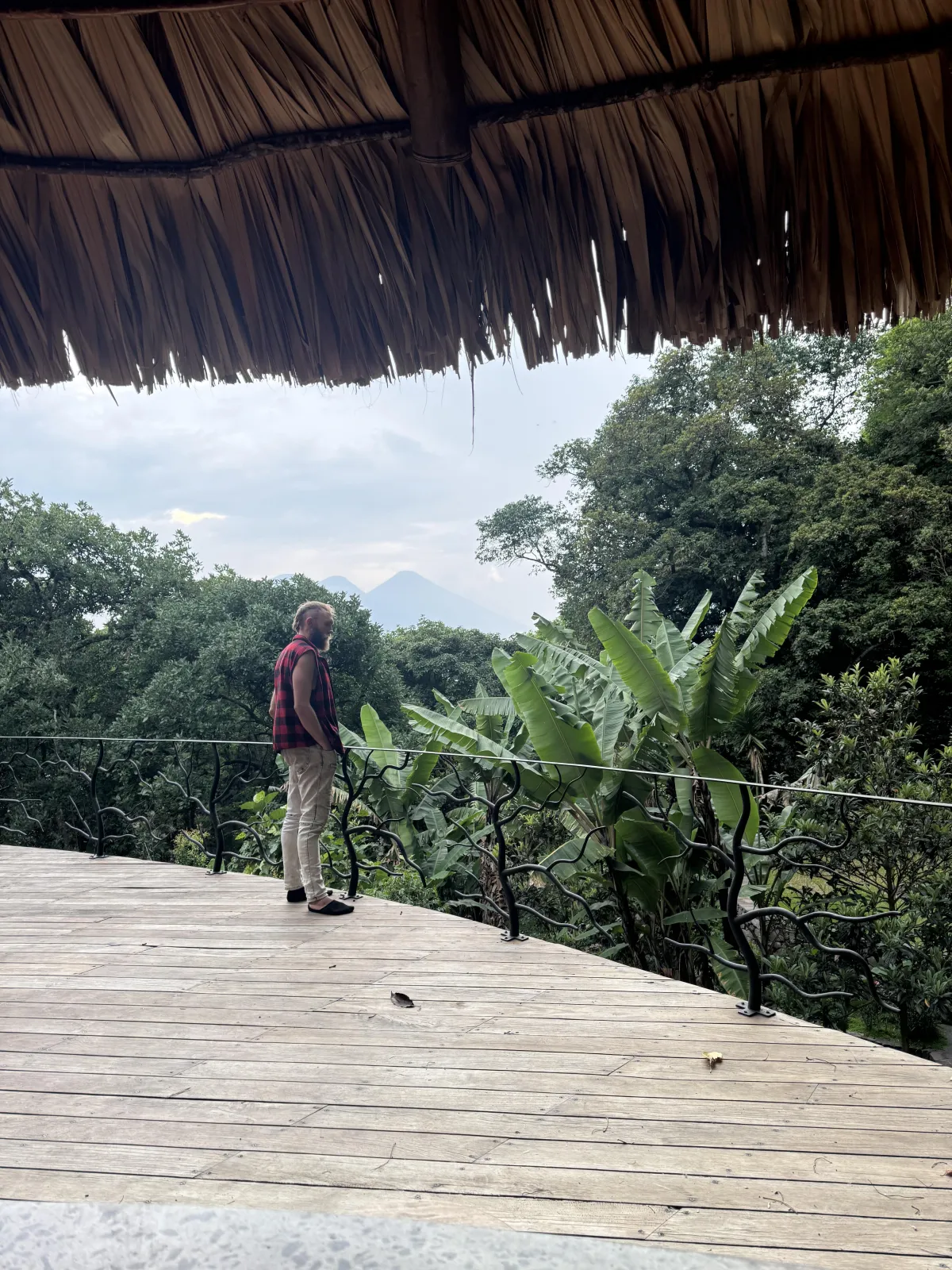 Deck overlooking jungle